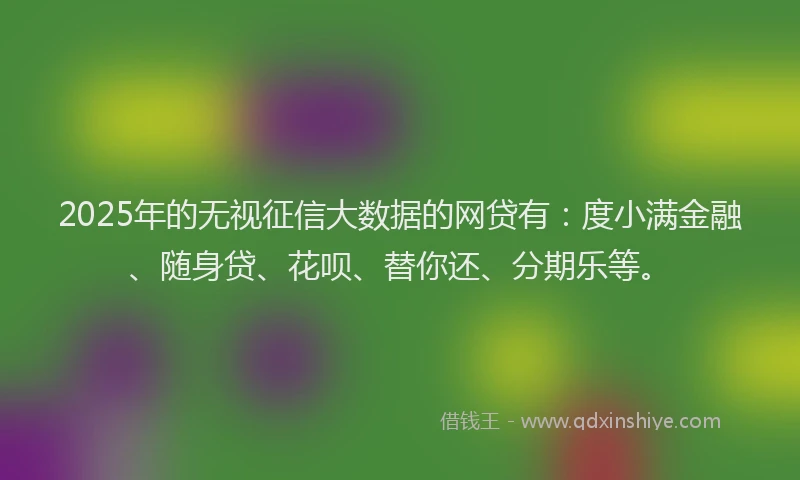 2025年的无视征信大数据的网贷有：度小满金融、随身贷、花呗、替你还、分期乐等。