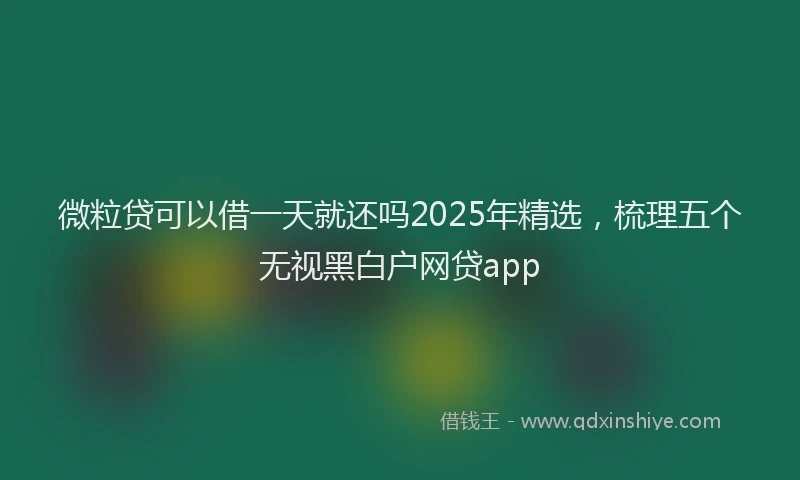 微粒贷可以借一天就还吗2025年精选，梳理五个无视黑白户网贷app
