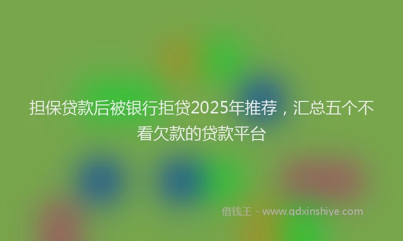 担保贷款后被银行拒贷2025年推荐，汇总五个不看欠款的贷款平台