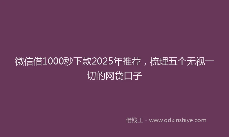 微信借1000秒下款2025年推荐，梳理五个无视一切的网贷口子