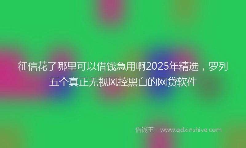 征信花了哪里可以借钱急用啊2025年精选，罗列五个真正无视风控黑白的网贷软件
