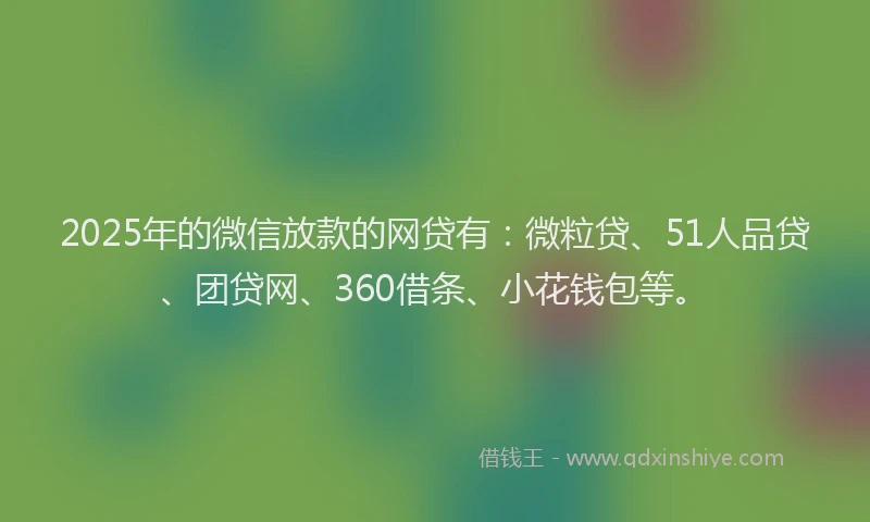 2025年的微信放款的网贷有：微粒贷、51人品贷、团贷网、360借条、小花钱包等。