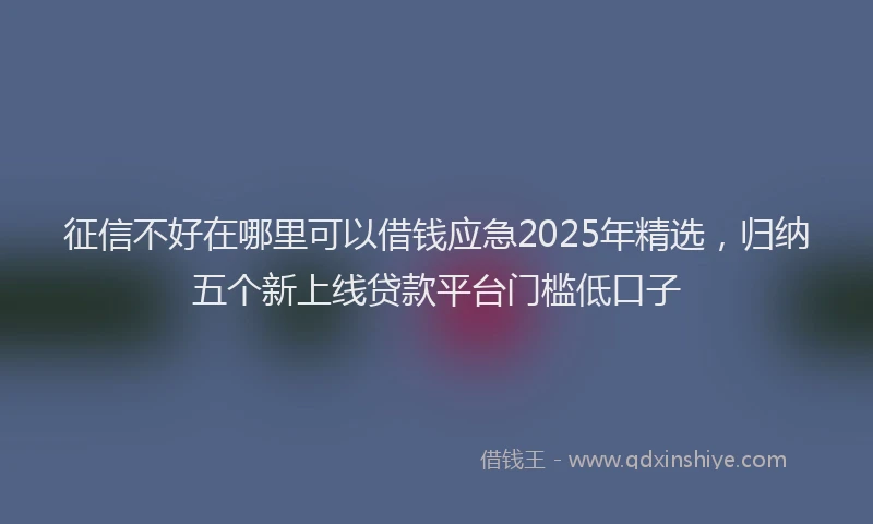 征信不好在哪里可以借钱应急2025年精选，归纳五个新上线贷款平台门槛低口子