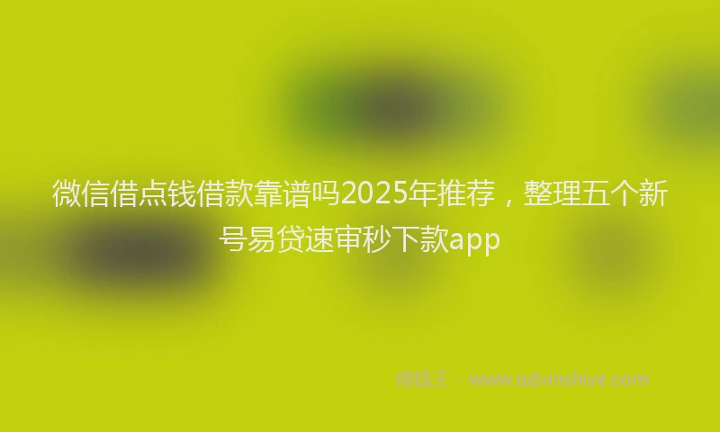 微信借点钱借款靠谱吗2025年推荐，整理五个新号易贷速审秒下款app