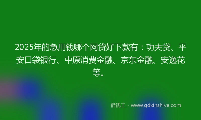2025年的急用钱哪个网贷好下款有：功夫贷、平安口袋银行、中原消费金融、京东金融、安逸花等。