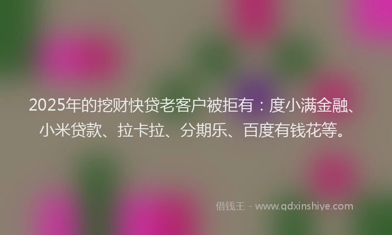 2025年的挖财快贷老客户被拒有：度小满金融、小米贷款、拉卡拉、分期乐、百度有钱花等。