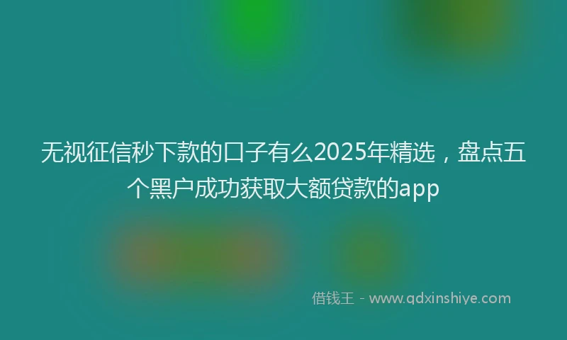 无视征信秒下款的口子有么2025年精选，盘点五个黑户成功获取大额贷款的app