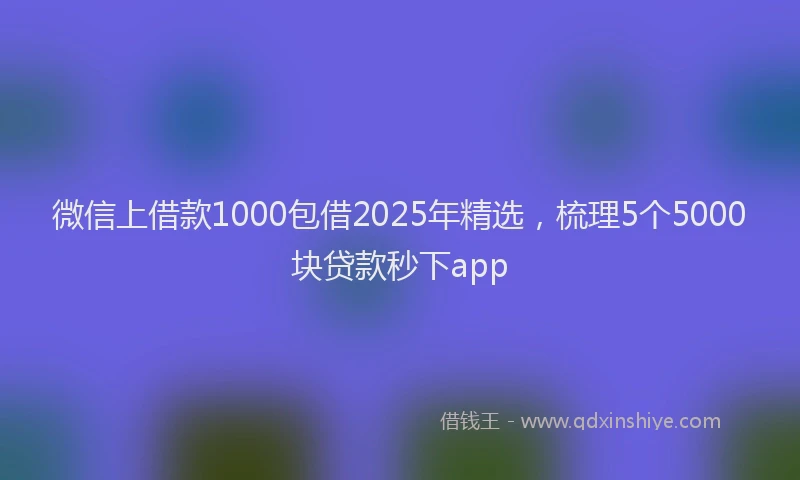 微信上借款1000包借2025年精选，梳理5个5000块贷款秒下app