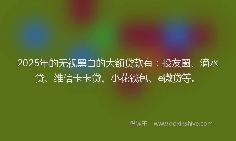 2025年的无视黑白的大额贷款有：投友圈、滴水贷、维信卡卡贷、小花钱包、e微贷等。