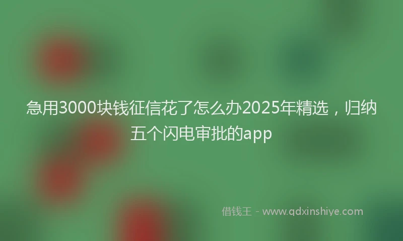 急用3000块钱征信花了怎么办2025年精选，归纳五个闪电审批的app