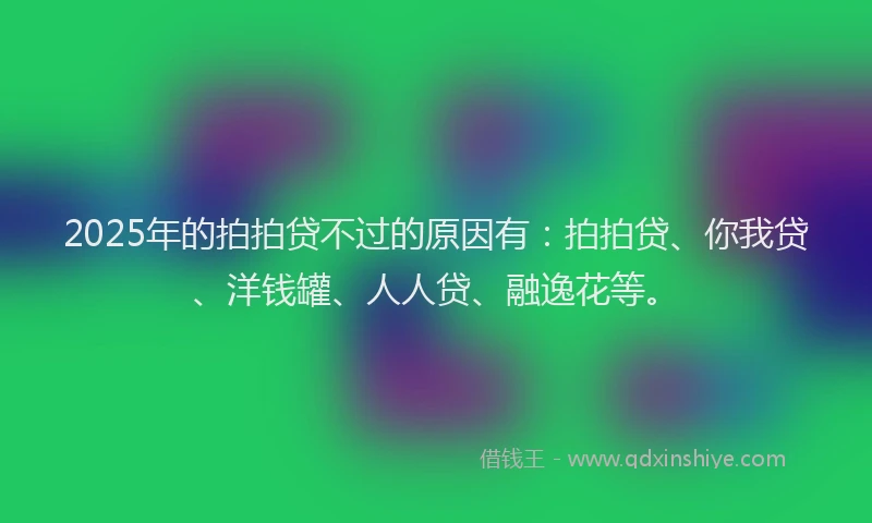 2025年的拍拍贷不过的原因有：拍拍贷、你我贷、洋钱罐、人人贷、融逸花等。