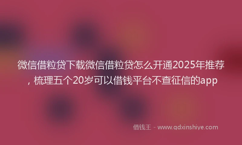 微信借粒贷下载微信借粒贷怎么开通2025年推荐，梳理五个20岁可以借钱平台不查征信的app