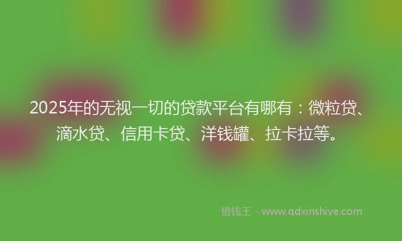 2025年的无视一切的贷款平台有哪有：微粒贷、滴水贷、信用卡贷、洋钱罐、拉卡拉等。