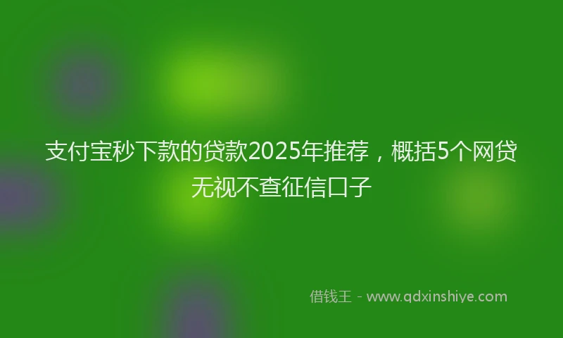 支付宝秒下款的贷款2025年推荐，概括5个网贷无视不查征信口子