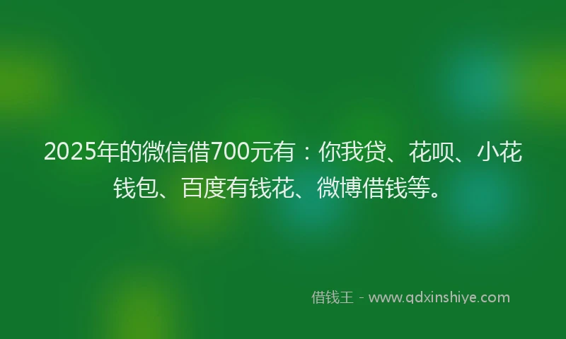 2025年的微信借700元有：你我贷、花呗、小花钱包、百度有钱花、微博借钱等。