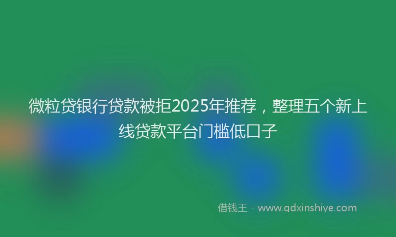 微粒贷银行贷款被拒2025年推荐，整理五个新上线贷款平台门槛低口子