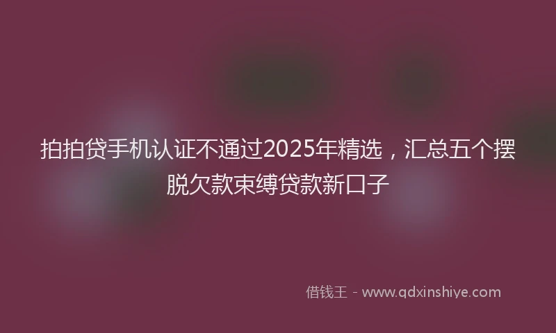 拍拍贷手机认证不通过2025年精选，汇总五个摆脱欠款束缚贷款新口子
