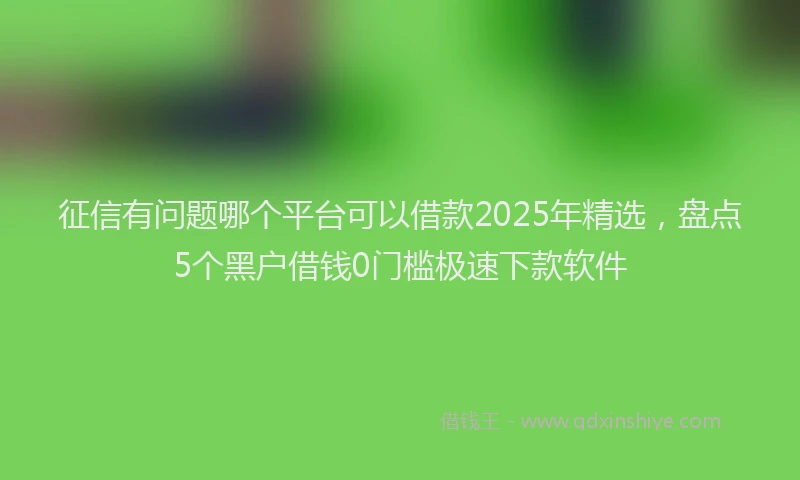 征信有问题哪个平台可以借款2025年精选，盘点5个黑户借钱0门槛极速下款软件