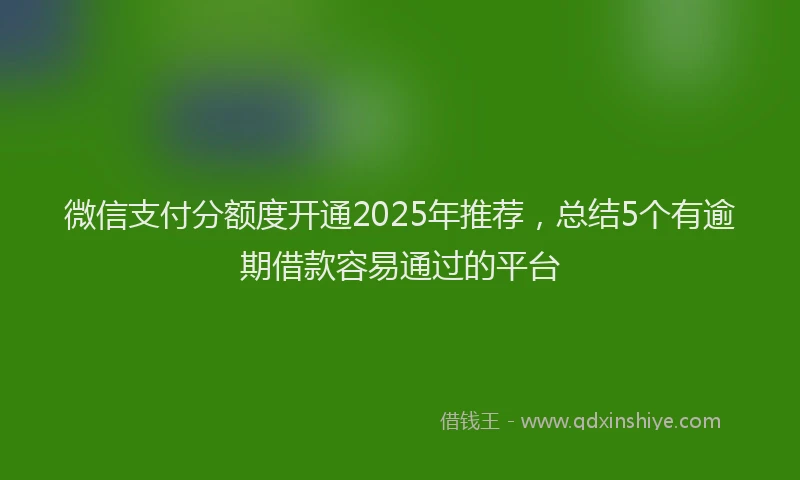 微信支付分额度开通2025年推荐，总结5个有逾期借款容易通过的平台