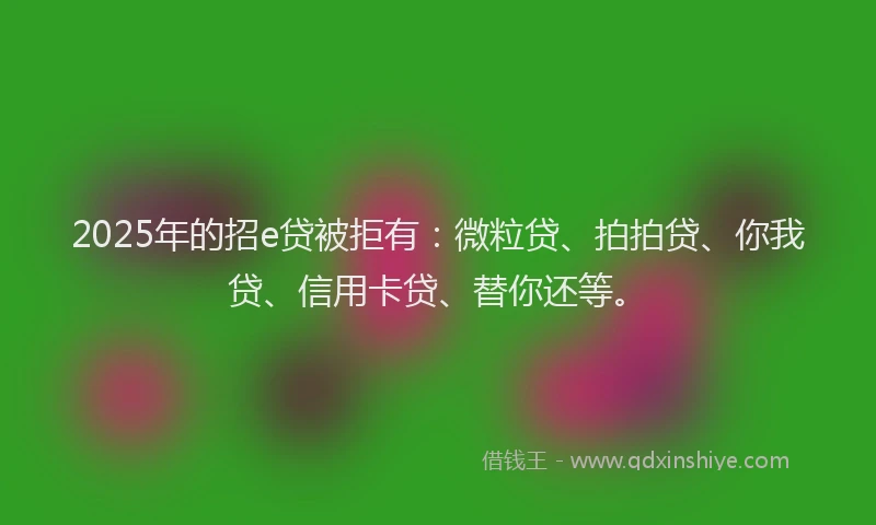 2025年的招e贷被拒有：微粒贷、拍拍贷、你我贷、信用卡贷、替你还等。