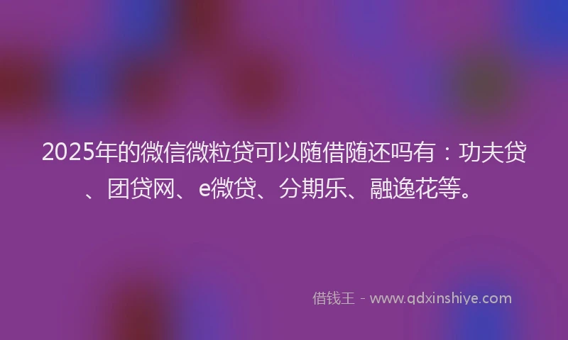 2025年的微信微粒贷可以随借随还吗有：功夫贷、团贷网、e微贷、分期乐、融逸花等。