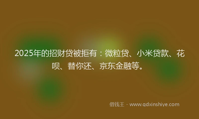 2025年的招财贷被拒有：微粒贷、小米贷款、花呗、替你还、京东金融等。