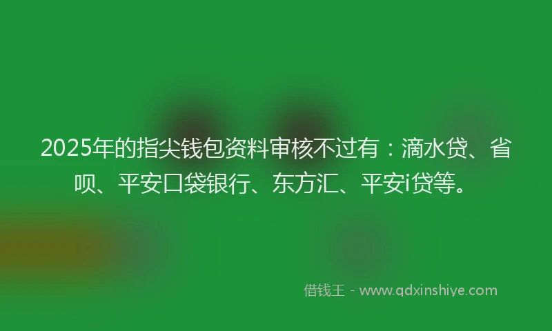 2025年的指尖钱包资料审核不过有：滴水贷、省呗、平安口袋银行、东方汇、平安i贷等。