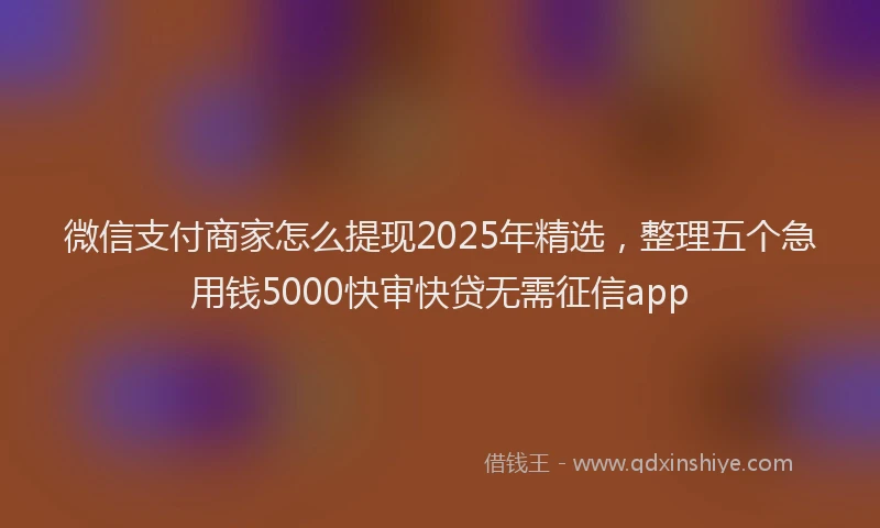 微信支付商家怎么提现2025年精选，整理五个急用钱5000快审快贷无需征信app