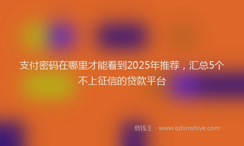 支付密码在哪里才能看到2025年推荐，汇总5个不上征信的贷款平台