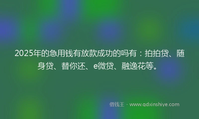 2025年的急用钱有放款成功的吗有：拍拍贷、随身贷、替你还、e微贷、融逸花等。