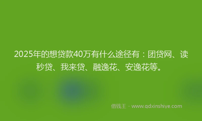 2025年的想贷款40万有什么途径有：团贷网、读秒贷、我来贷、融逸花、安逸花等。