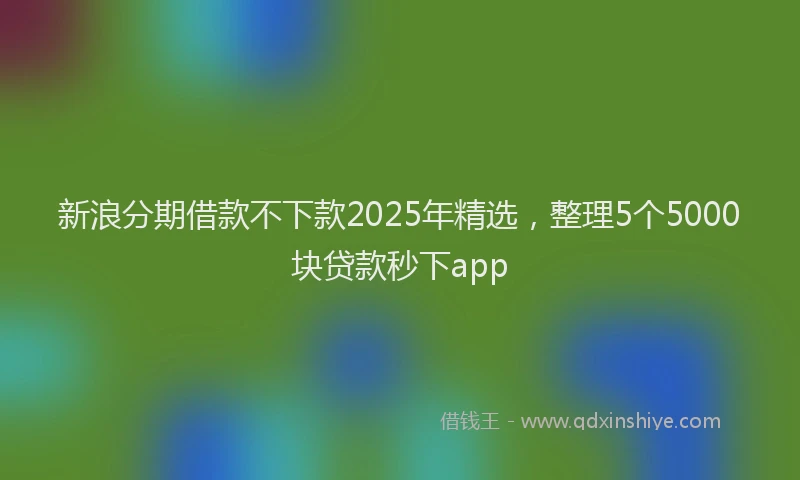 新浪分期借款不下款2025年精选，整理5个5000块贷款秒下app