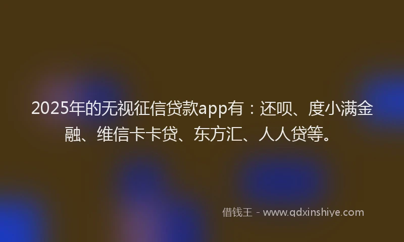 2025年的无视征信贷款app有：还呗、度小满金融、维信卡卡贷、东方汇、人人贷等。