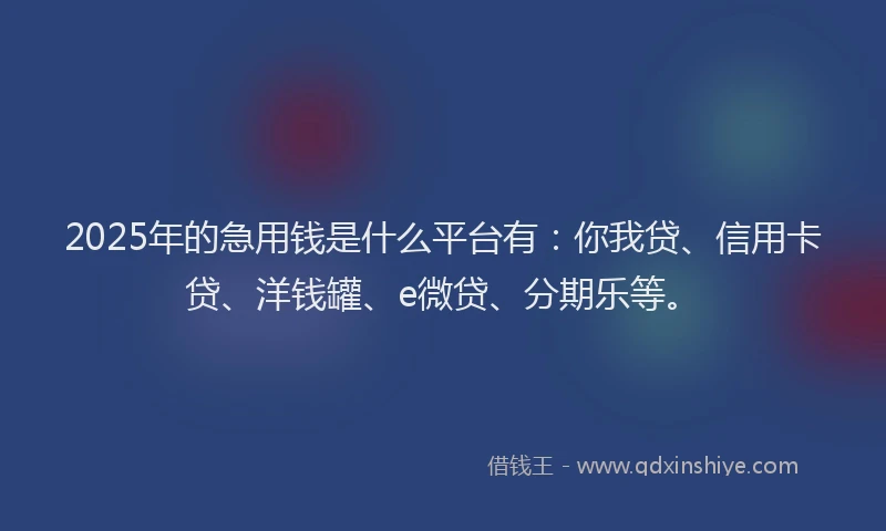 2025年的急用钱是什么平台有：你我贷、信用卡贷、洋钱罐、e微贷、分期乐等。
