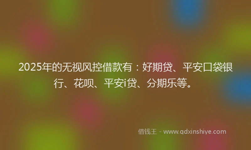 2025年的无视风控借款有：好期贷、平安口袋银行、花呗、平安i贷、分期乐等。