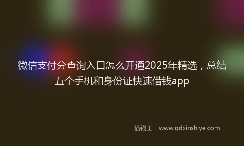 微信支付分查询入口怎么开通2025年精选，总结五个手机和身份证快速借钱app