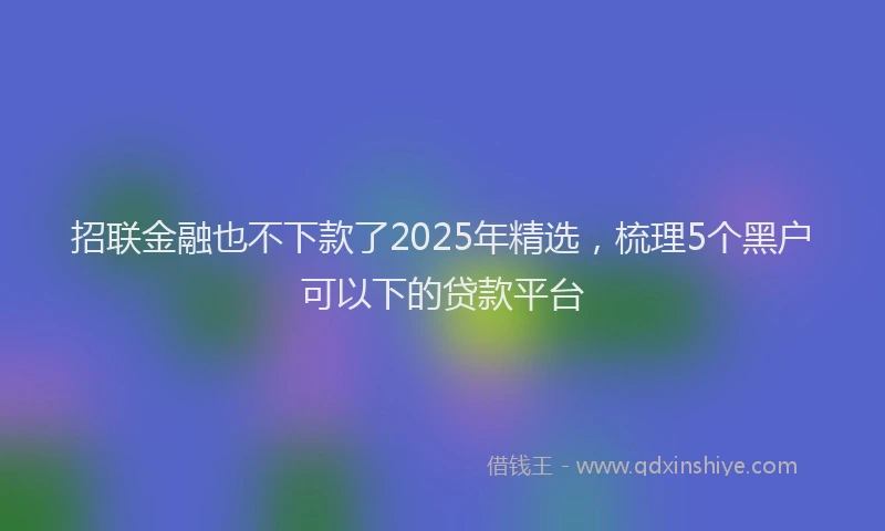 招联金融也不下款了2025年精选，梳理5个黑户可以下的贷款平台