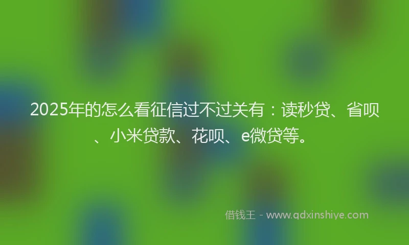 2025年的怎么看征信过不过关有：读秒贷、省呗、小米贷款、花呗、e微贷等。