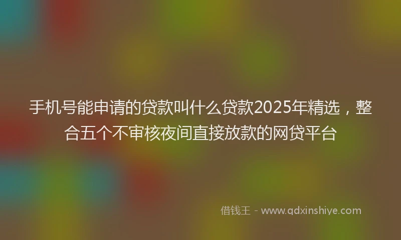 手机号能申请的贷款叫什么贷款2025年精选，整合五个不审核夜间直接放款的网贷平台