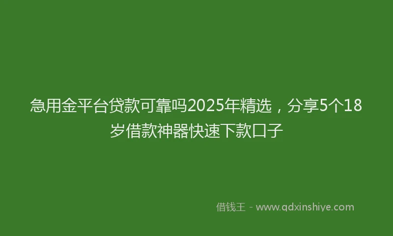 急用金平台贷款可靠吗2025年精选，分享5个18岁借款神器快速下款口子