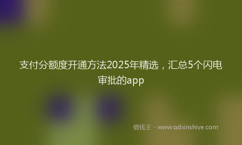 支付分额度开通方法2025年精选，汇总5个闪电审批的app