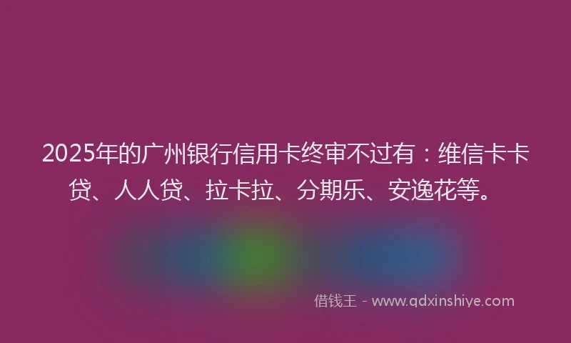 2025年的广州银行信用卡终审不过有：维信卡卡贷、人人贷、拉卡拉、分期乐、安逸花等。