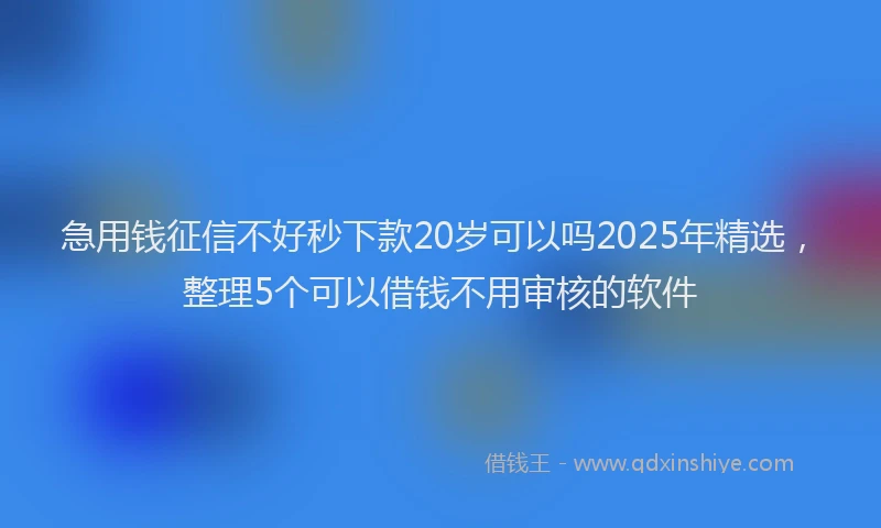 急用钱征信不好秒下款20岁可以吗2025年精选，整理5个可以借钱不用审核的软件