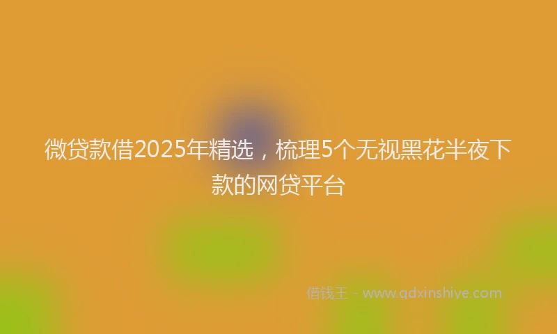 微贷款借2025年精选，梳理5个无视黑花半夜下款的网贷平台