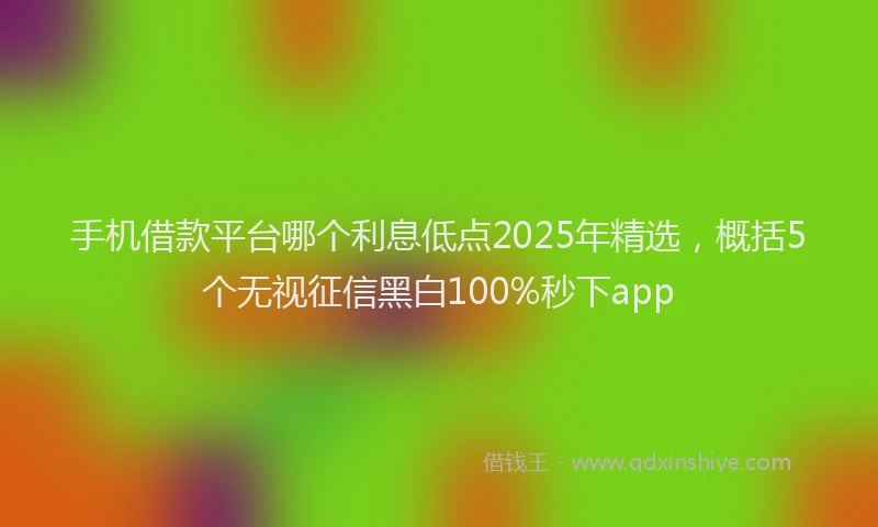 手机借款平台哪个利息低点2025年精选，概括5个无视征信黑白100%秒下app