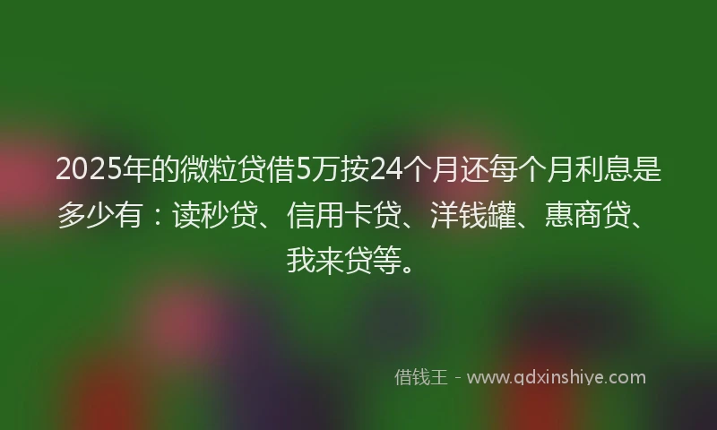 2025年的微粒贷借5万按24个月还每个月利息是多少有：读秒贷、信用卡贷、洋钱罐、惠商贷、我来贷等。