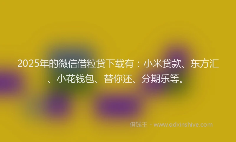 2025年的微信借粒贷下载有：小米贷款、东方汇、小花钱包、替你还、分期乐等。