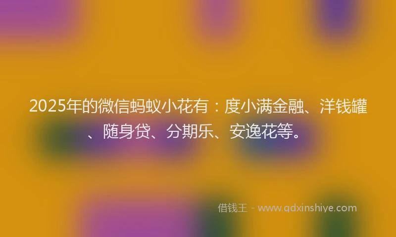 2025年的微信蚂蚁小花有：度小满金融、洋钱罐、随身贷、分期乐、安逸花等。