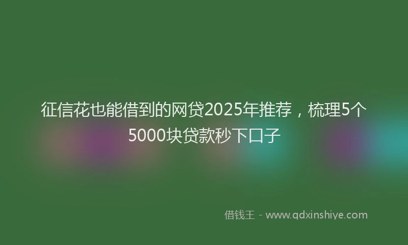 征信花也能借到的网贷2025年推荐，梳理5个5000块贷款秒下口子