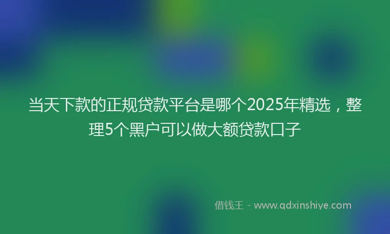 当天下款的正规贷款平台是哪个2025年精选，整理5个黑户可以做大额贷款口子